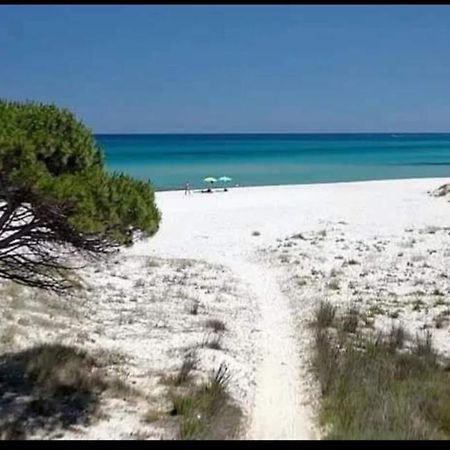 סיניסקולה Casa Vacanza מראה חיצוני תמונה