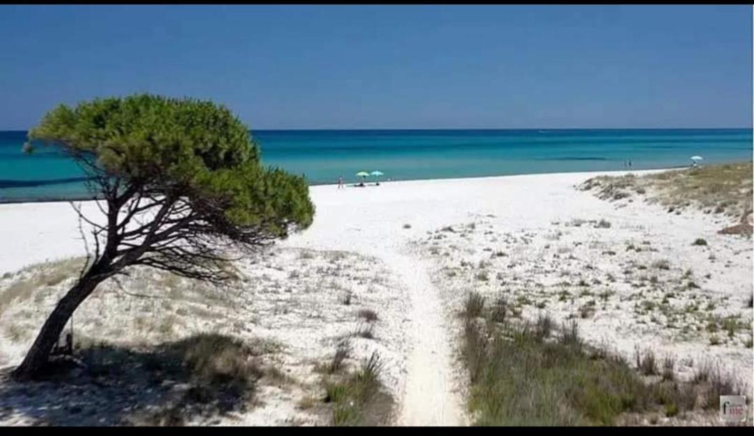 סיניסקולה Casa Vacanza מראה חיצוני תמונה